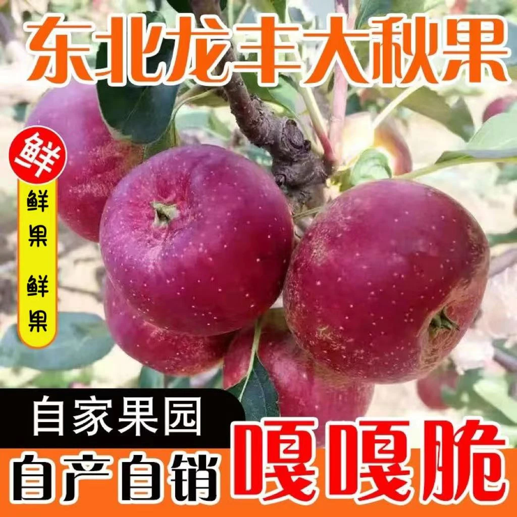 【发20-25个】东北龙丰果大秋果非海棠果甜酸脆正宗