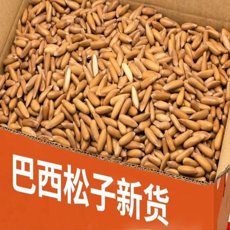 巴西松子大颗粒罐装手剥松子坚果炒货阿富汗松子新鲜烘焙罐装