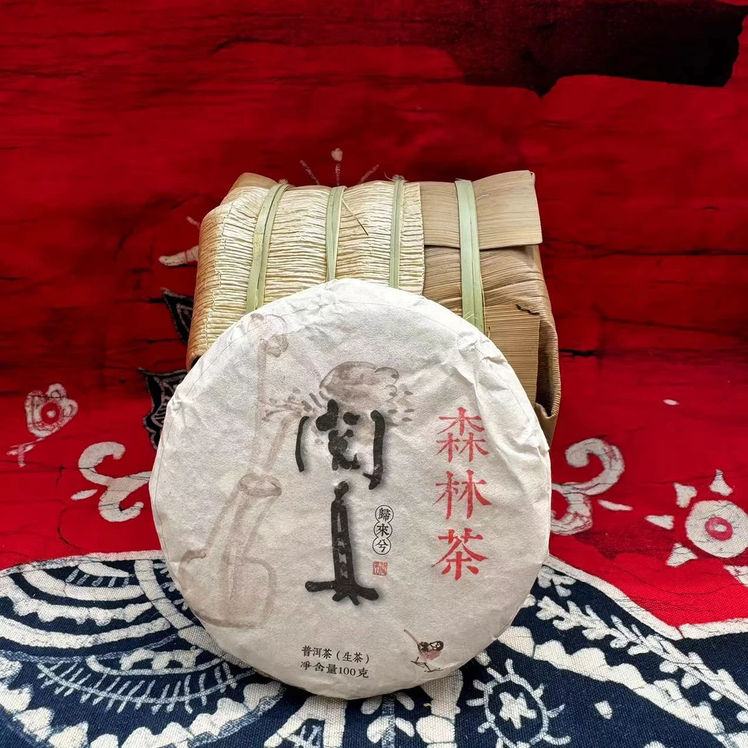 森林茶2024年普洱茶生茶｜紧压茶珍藏送礼盒装生茶|500g/100g