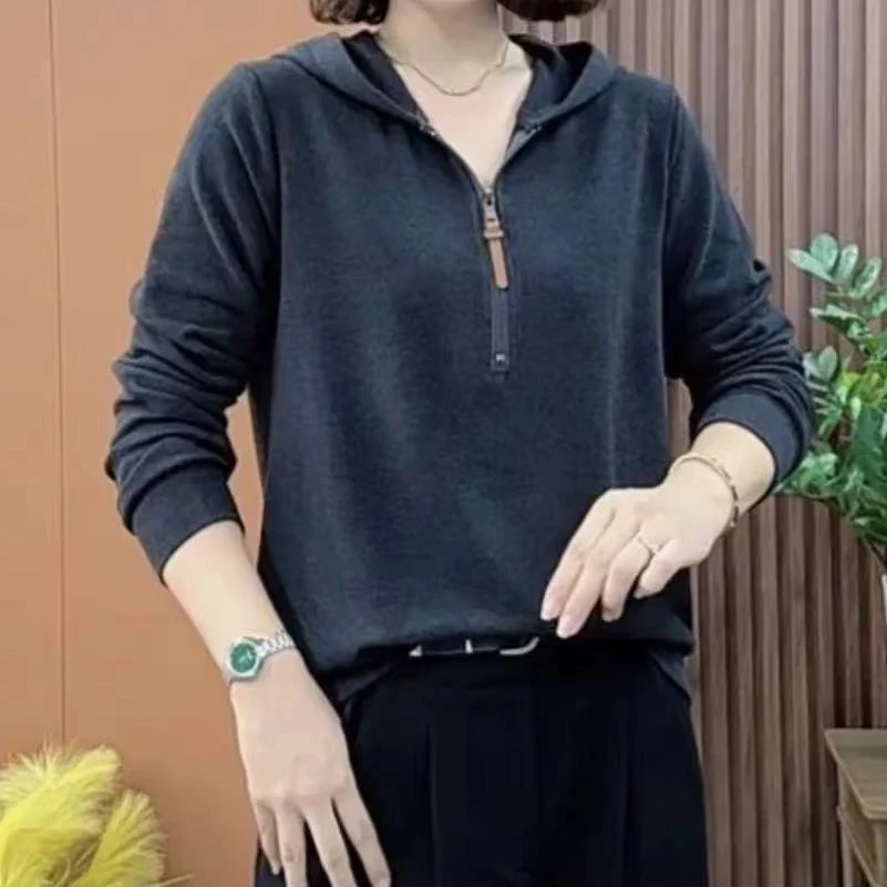 2024新款爆款秋冬长袖时尚休闲洋气网红宽松显瘦百搭加厚连帽T恤