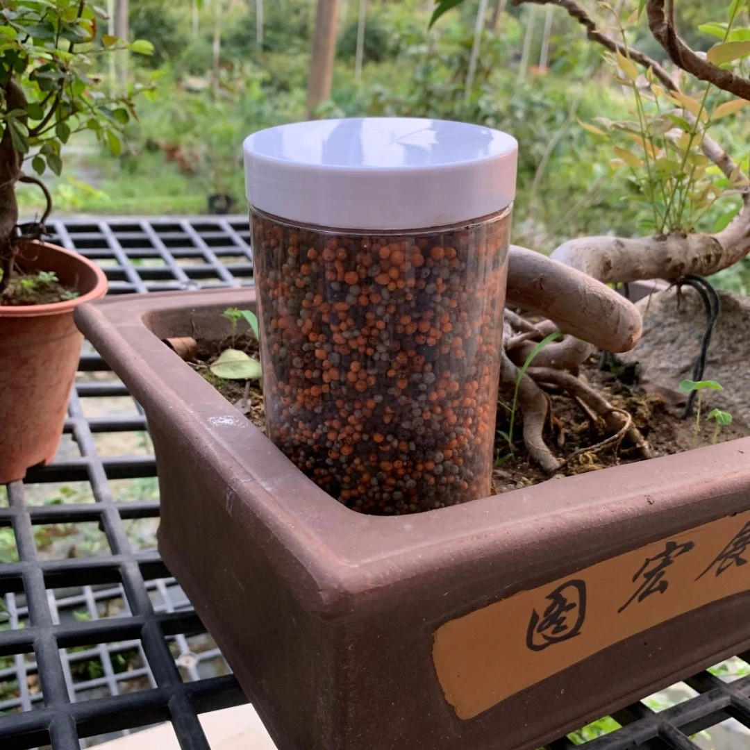 君诚热带水果专用有机肥