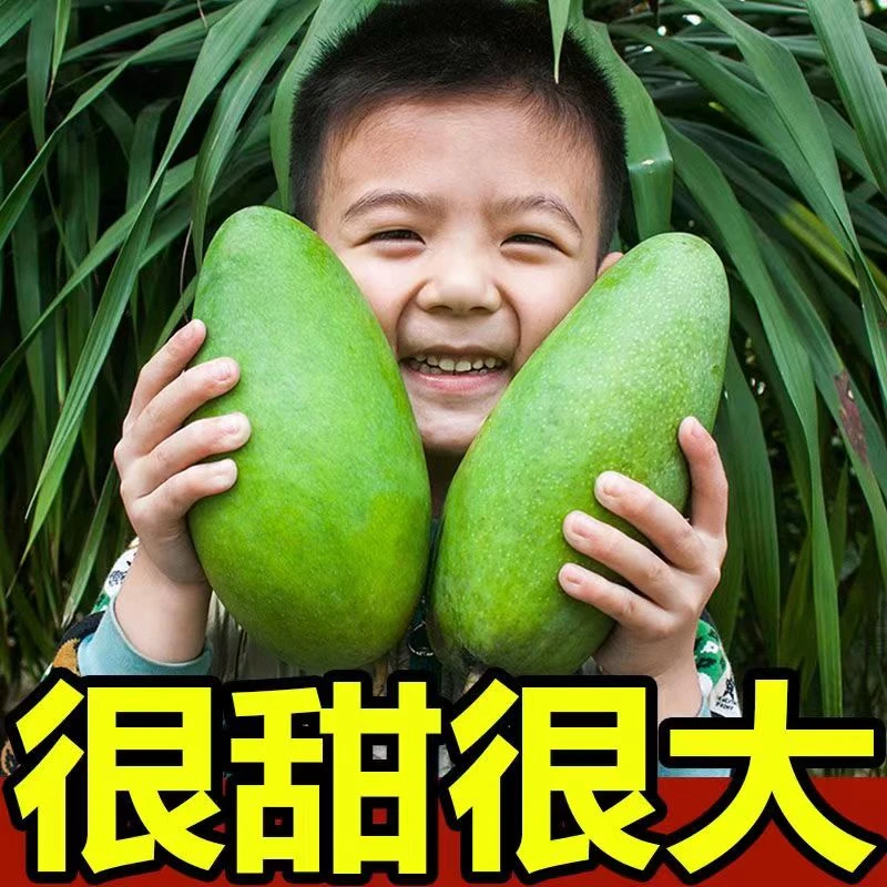【现货10斤】正宗攀枝花大金煌青皮甜心芒细腻微软即食核小大青芒