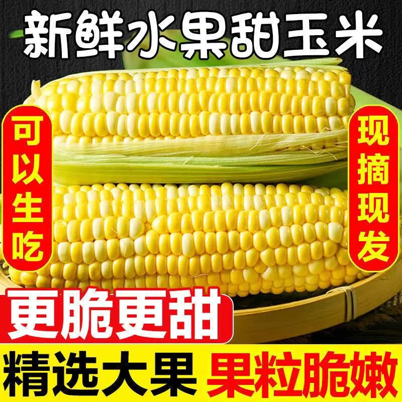 【水果玉米】云南新鲜可生吃甜脆水果玉米现砍当季5-9斤香