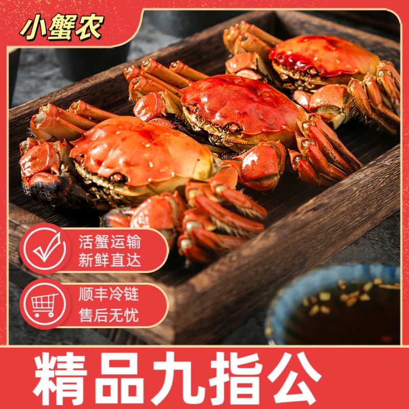 【大公蟹】 兴化大闸蟹 公蟹4两起步 3斤 6/7/8只 顺丰发货