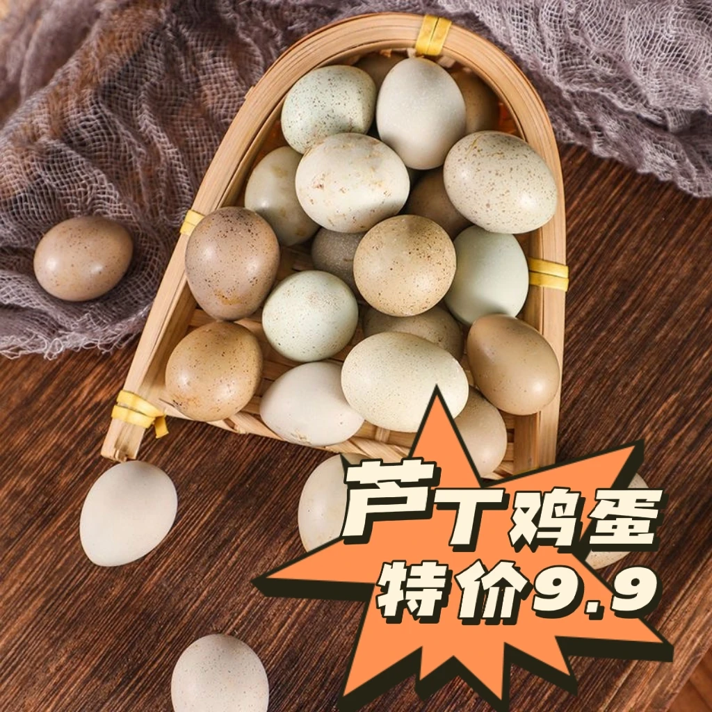 芦丁鸡蛋网红宠物迷你鸡可孵化也可食用精品德系全色系当天新鲜蛋