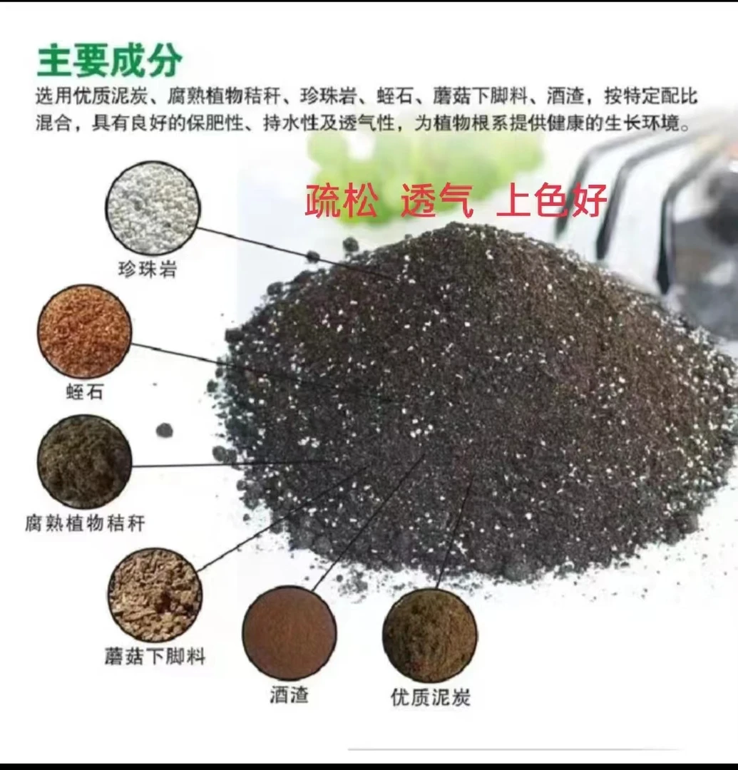 优质多肉营养土多肉植物，【约五斤重】