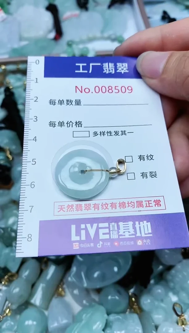 【闪购商品】翡翠颈饰未镶嵌翡翠