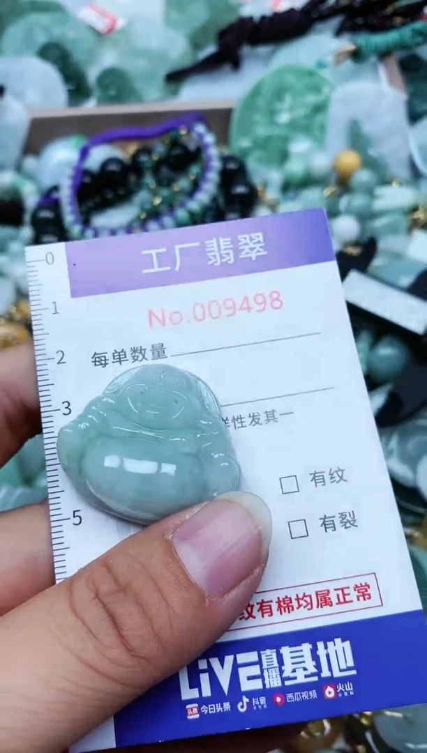 【闪购商品】翡翠颈饰未镶嵌翡翠