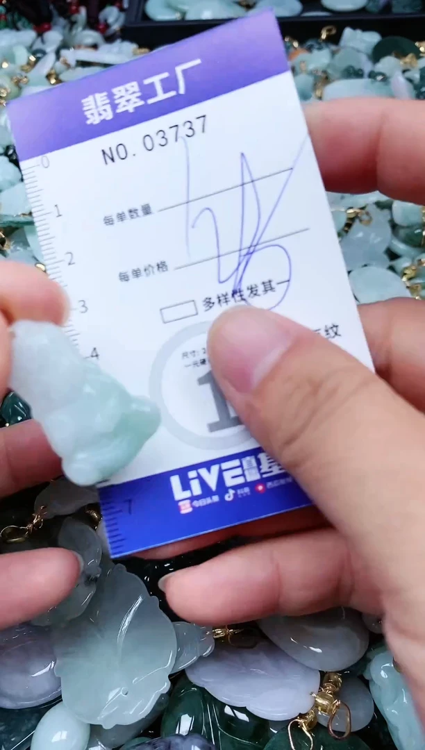 【闪购商品】翡翠颈饰未镶嵌翡翠