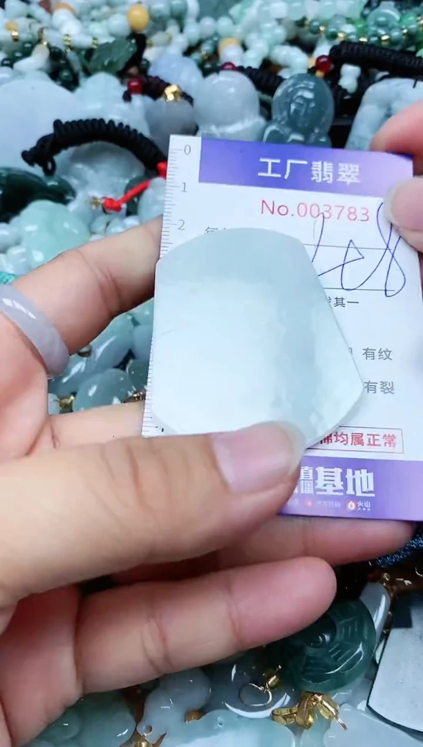 【闪购商品】翡翠颈饰未镶嵌翡翠