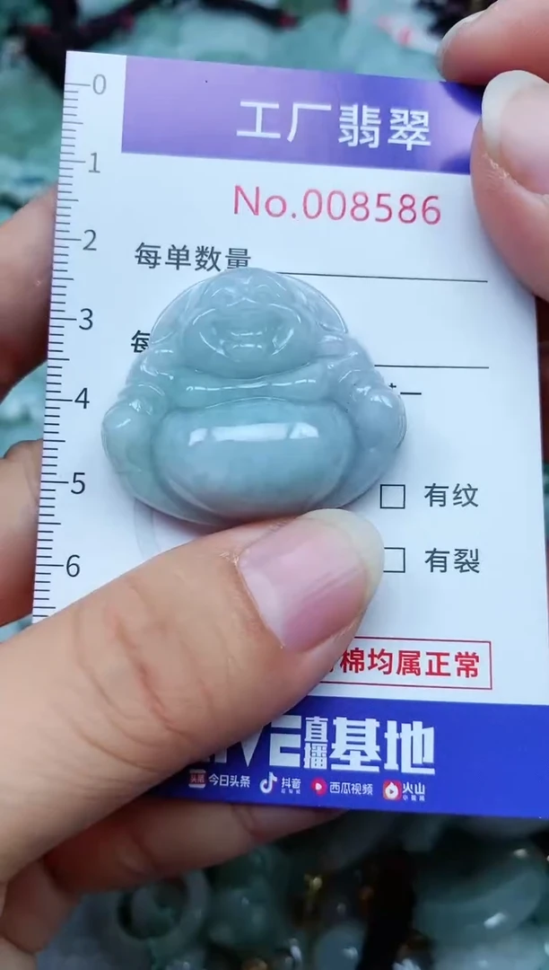 【闪购商品】翡翠颈饰未镶嵌翡翠