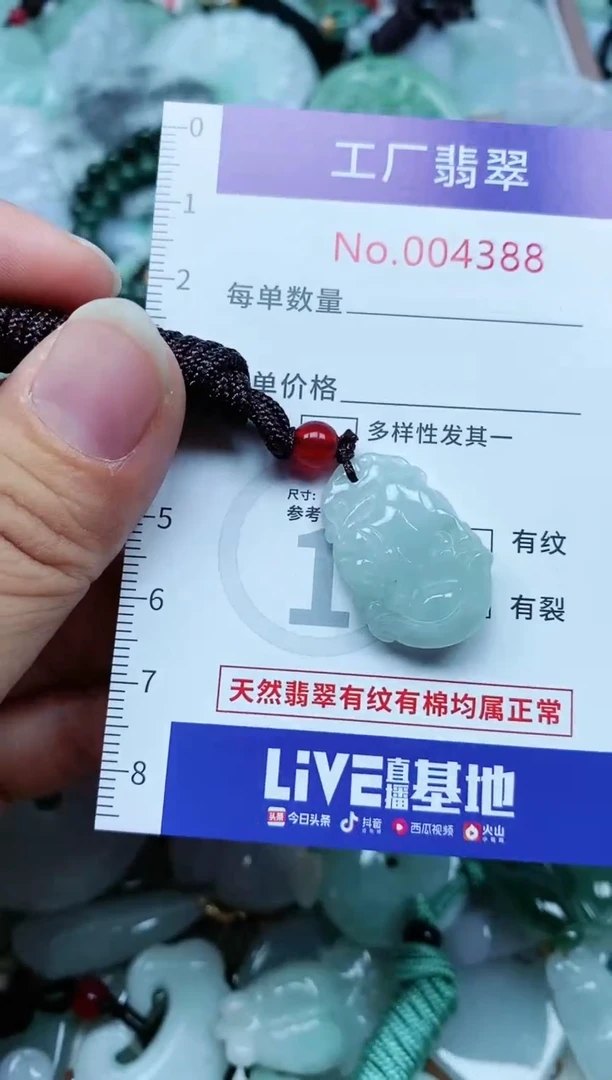 【闪购商品】翡翠颈饰未镶嵌翡翠