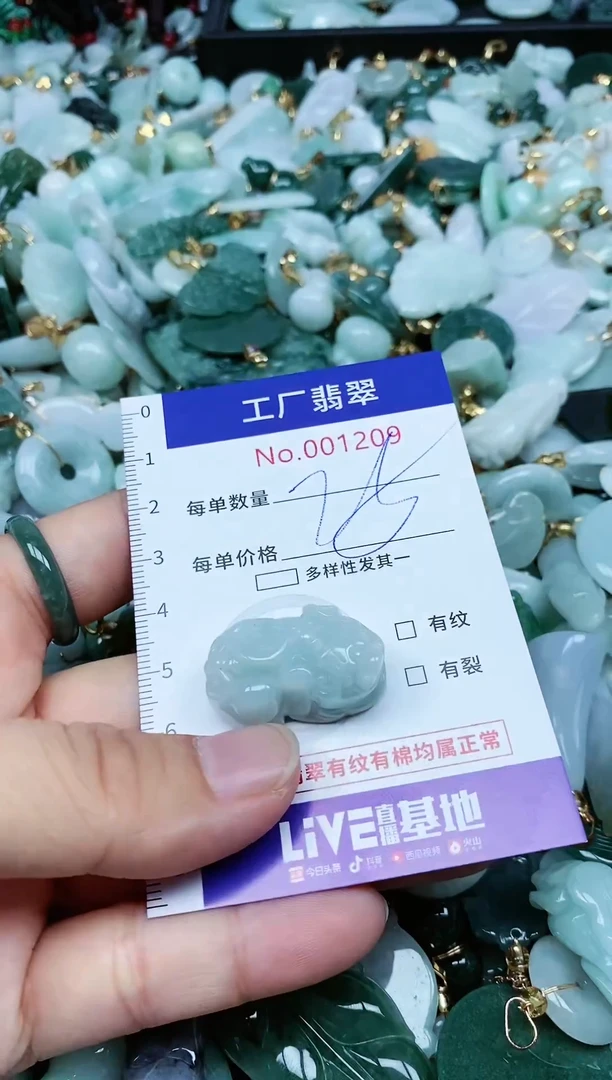 【闪购商品】翡翠颈饰未镶嵌翡翠