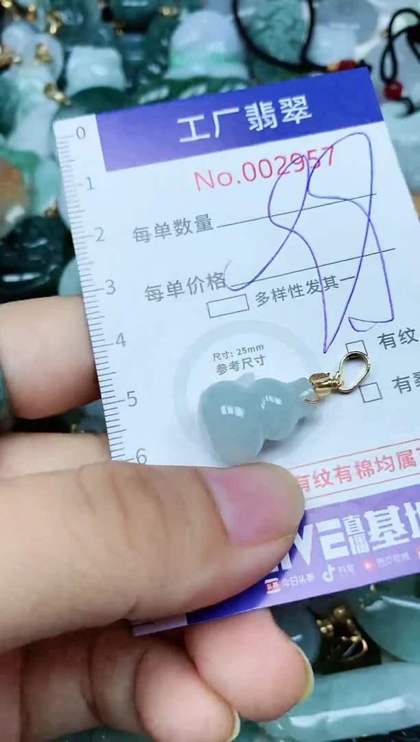 【闪购商品】翡翠颈饰未镶嵌翡翠