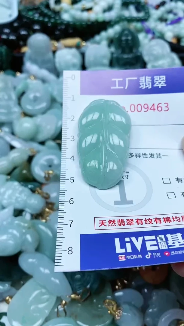 【闪购商品】翡翠颈饰未镶嵌翡翠