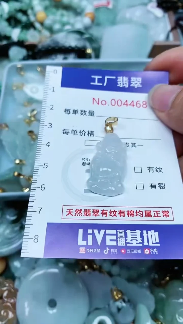 【闪购商品】翡翠颈饰未镶嵌翡翠