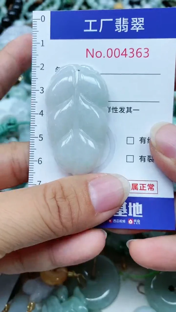 【闪购商品】翡翠颈饰未镶嵌翡翠
