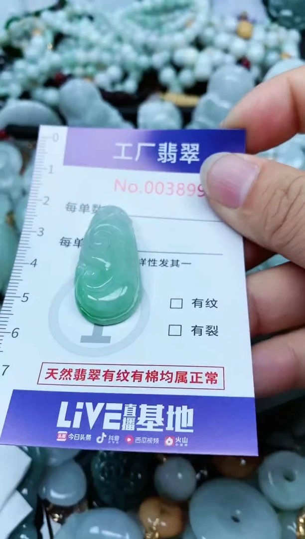 【闪购商品】翡翠颈饰未镶嵌翡翠