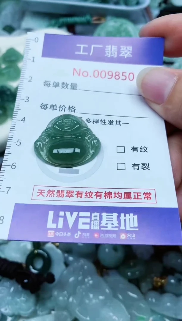 【闪购商品】翡翠颈饰未镶嵌翡翠