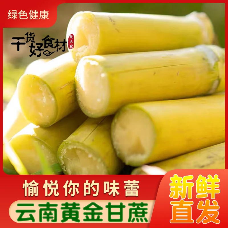 云南新鲜黄皮甘蔗中段脆甜多汁当季热带水果