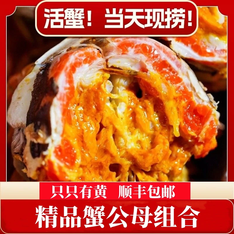 【活蟹】江苏大闸蟹公5.2-4.9两母4.2-3.9两8只/10只顺丰鲜活螃蟹