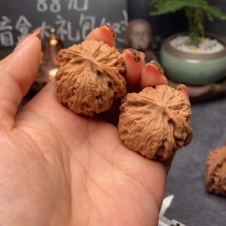 雷*苹果园狮子头37尺寸
