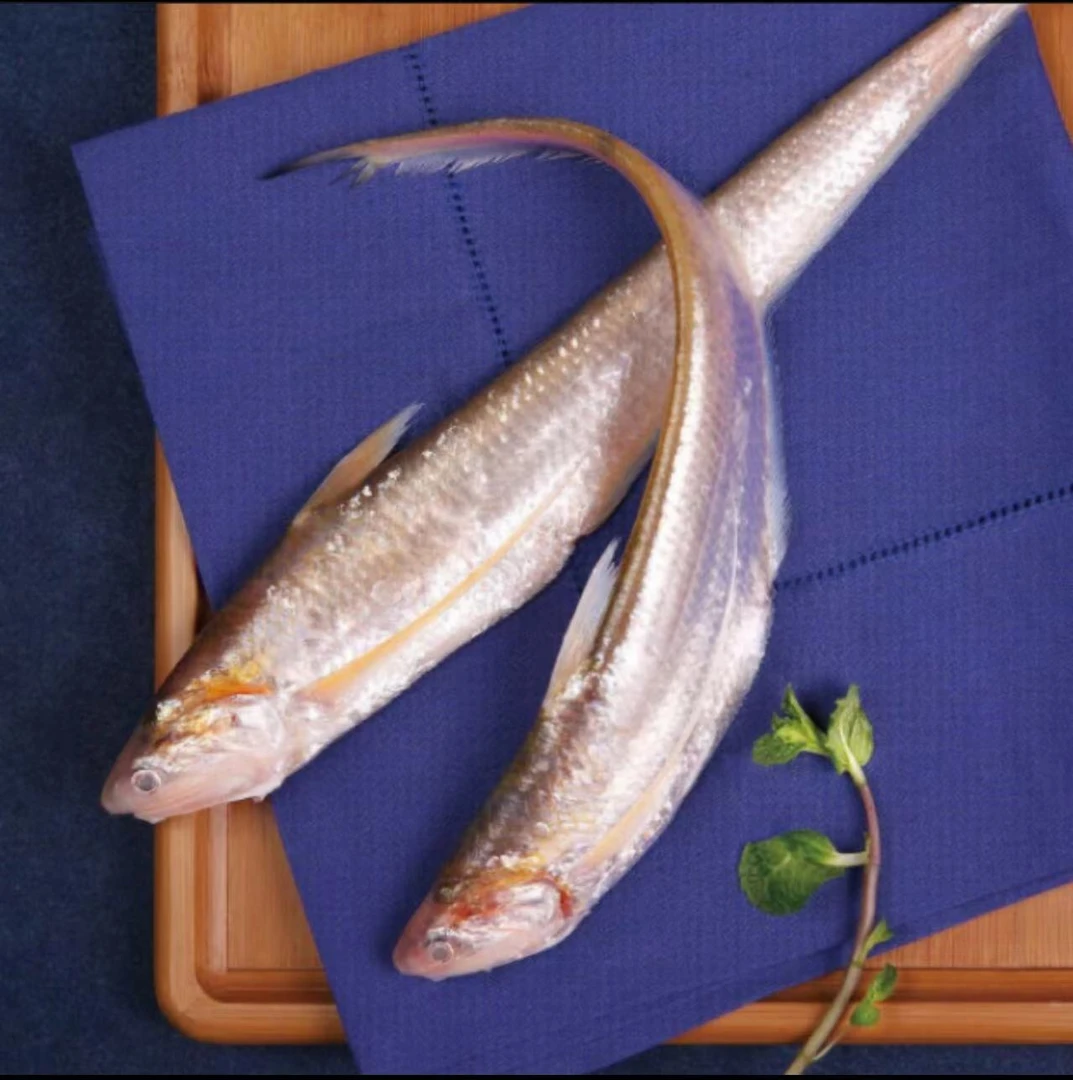 冰鲜入海口洄游刀鱼 3斤 肉质鲜嫩味道鲜美速冻码头产地