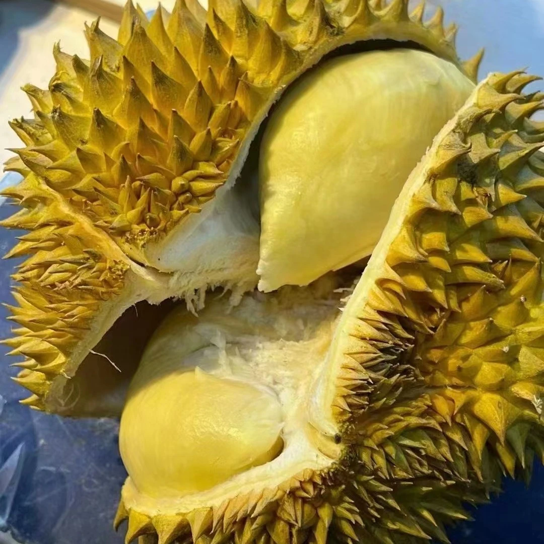 树熟金枕榴莲
