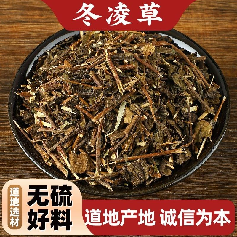 野生冬凌草500g克中药材新鲜王屋山济源冬凌咽喉草泡茶