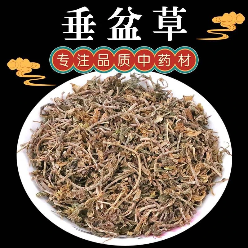 垂盆草中药材500g干货泡茶正宗野生药用食用垂盆草干垂