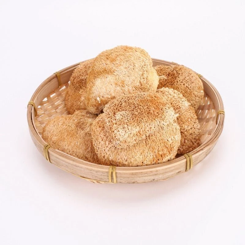 高山高海拔猴头菇