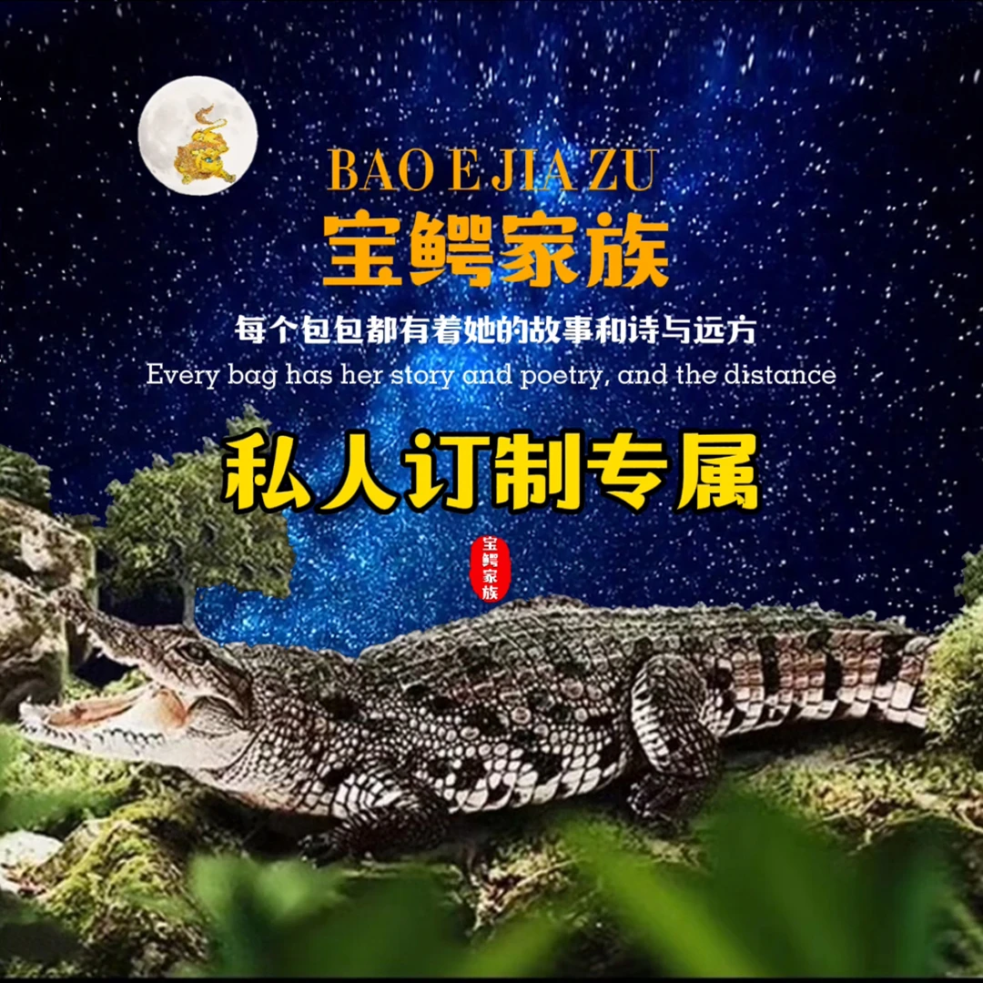 【宝鳄专属B1推荐】高端经典手工真皮单肩斜挎手提经典百搭女包