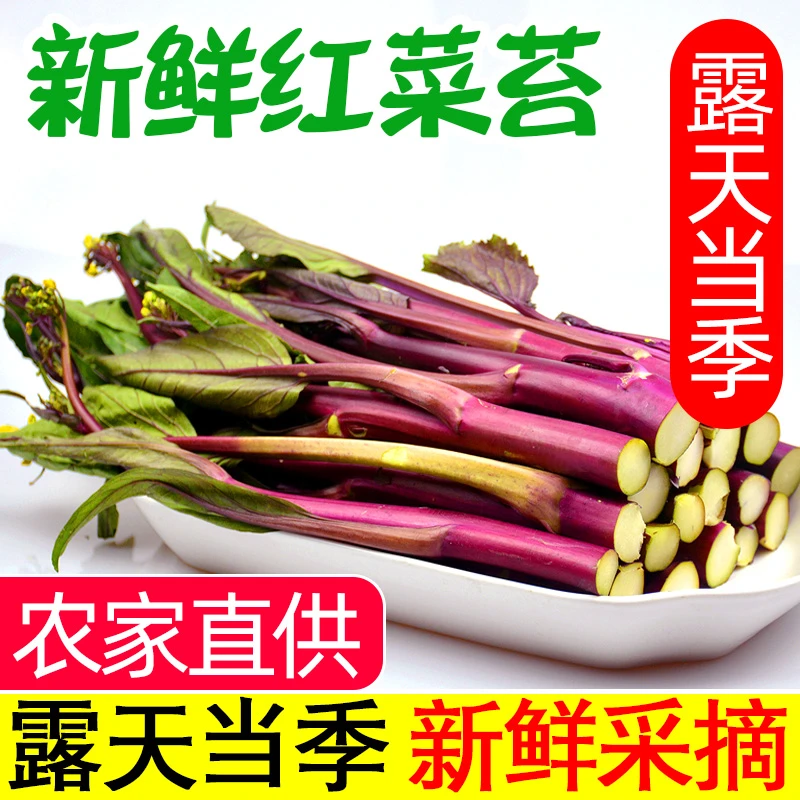 【农家现摘】湖北新鲜红菜苔青菜紫菜薹自种露天当季蔬菜