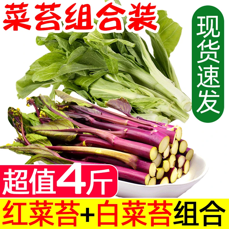 【露天现摘】农家蔬菜组合装新鲜红菜苔白菜苔湖北紫菜薹当季青菜