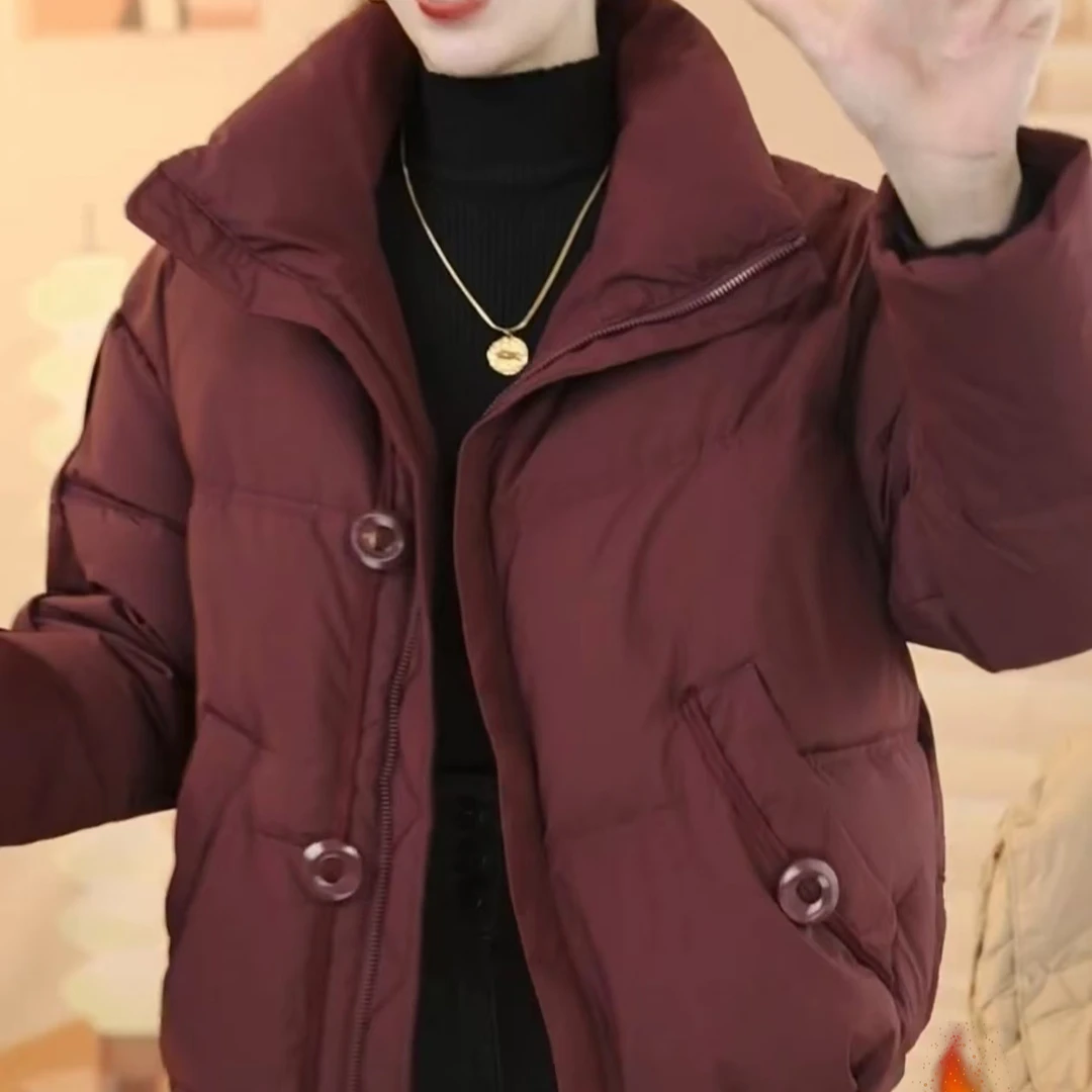 X9687【出口】2024新款冬季高端专柜鹅绒羽绒服外套