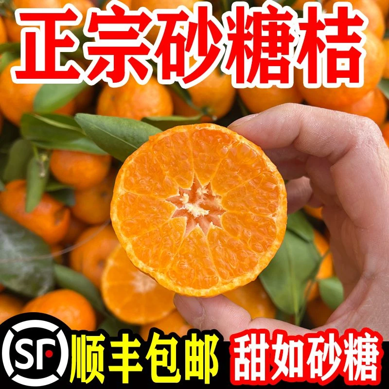 正宗广东肇庆砂糖桔当季新鲜水果小橘子砂糖橘小桔子带箱5/10斤