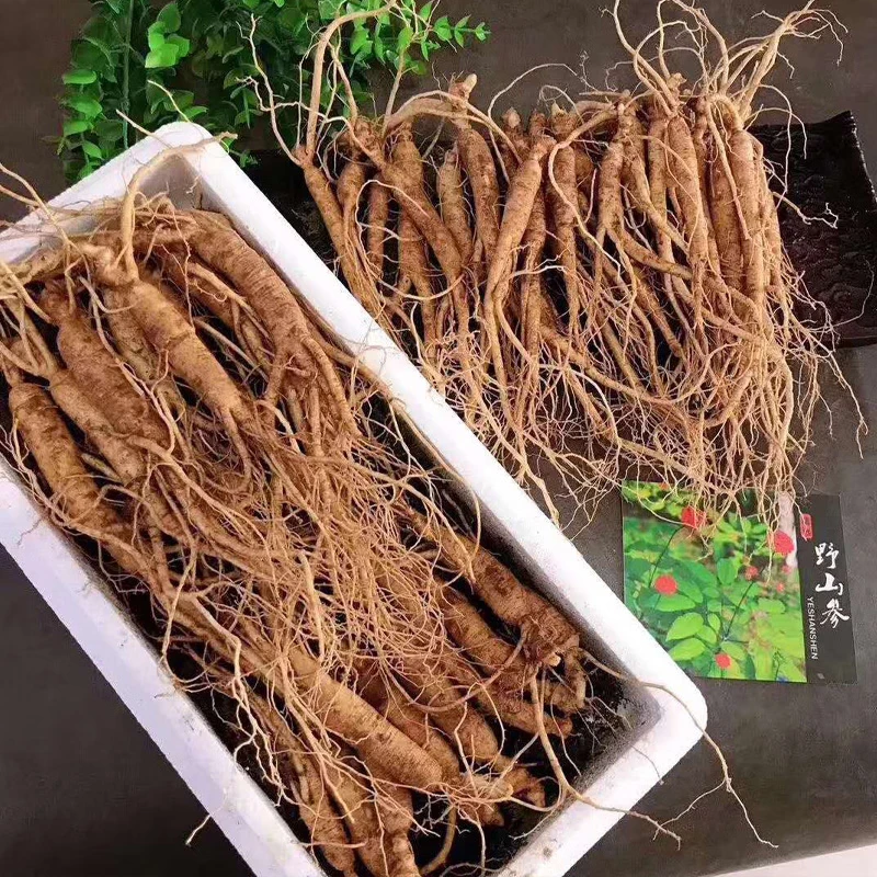 【9年人参顺丰空运】原产地现采空运到家新鲜长白山人参滋补养生