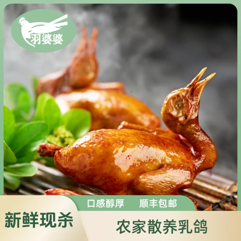 【羽婆婆】农家散养乳鸽谷物喂养新鲜现杀肉质鲜嫩烤鸽专用顺丰包邮