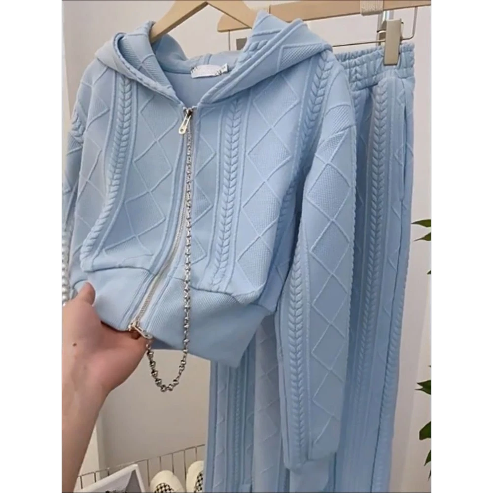 2025套装女春秋季新款韩系高级感麻花休闲动连帽卫衣阔腿裤两件套