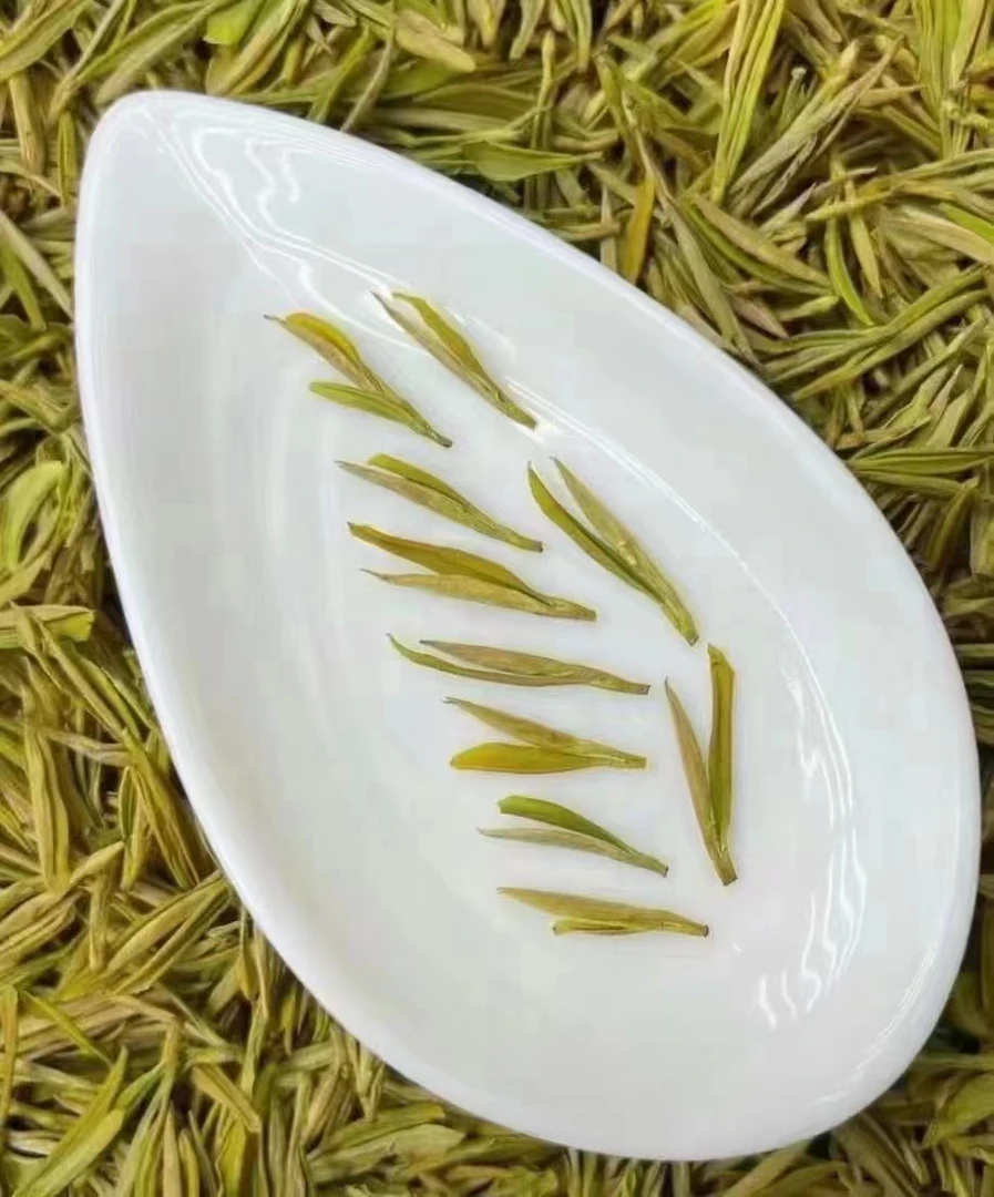 【原产地黄金芽】2025新茶安吉原产地高山黄金芽