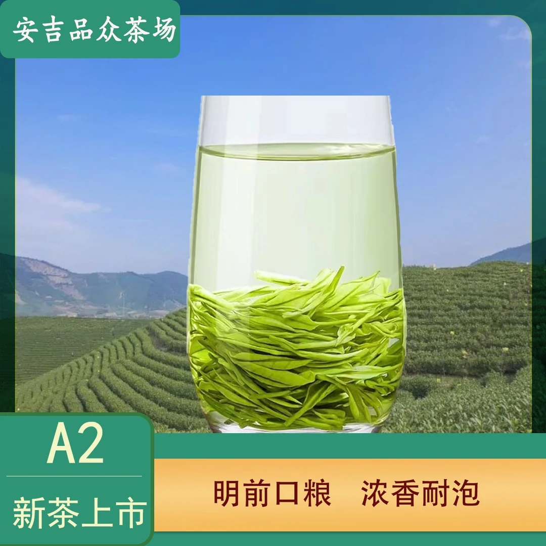 【安吉白茶2023明前精品A2】浓香耐泡 香气馥郁