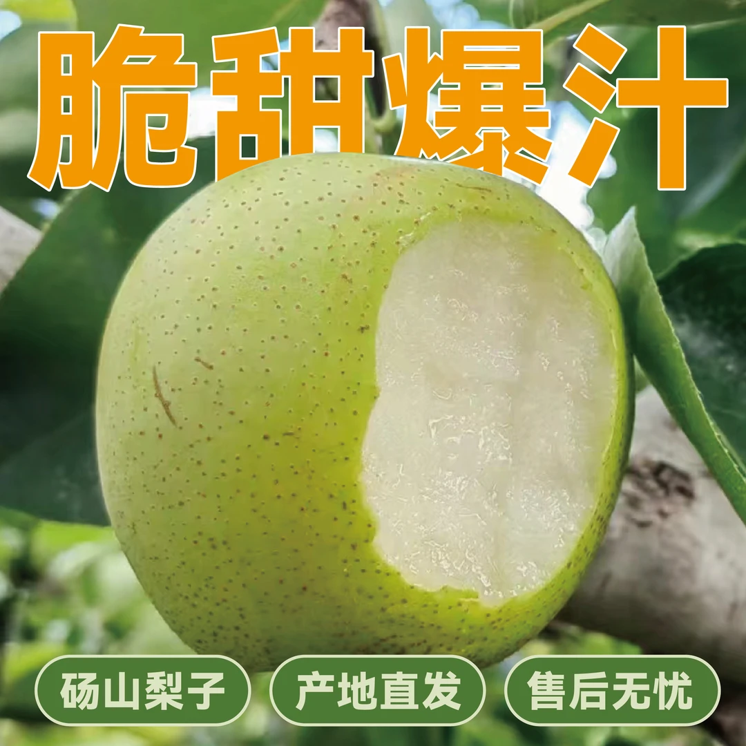 【臻先优选】新鲜水果砀山青皇冠梨当季翠冠梨香酥蜜早雪梨整箱包邮