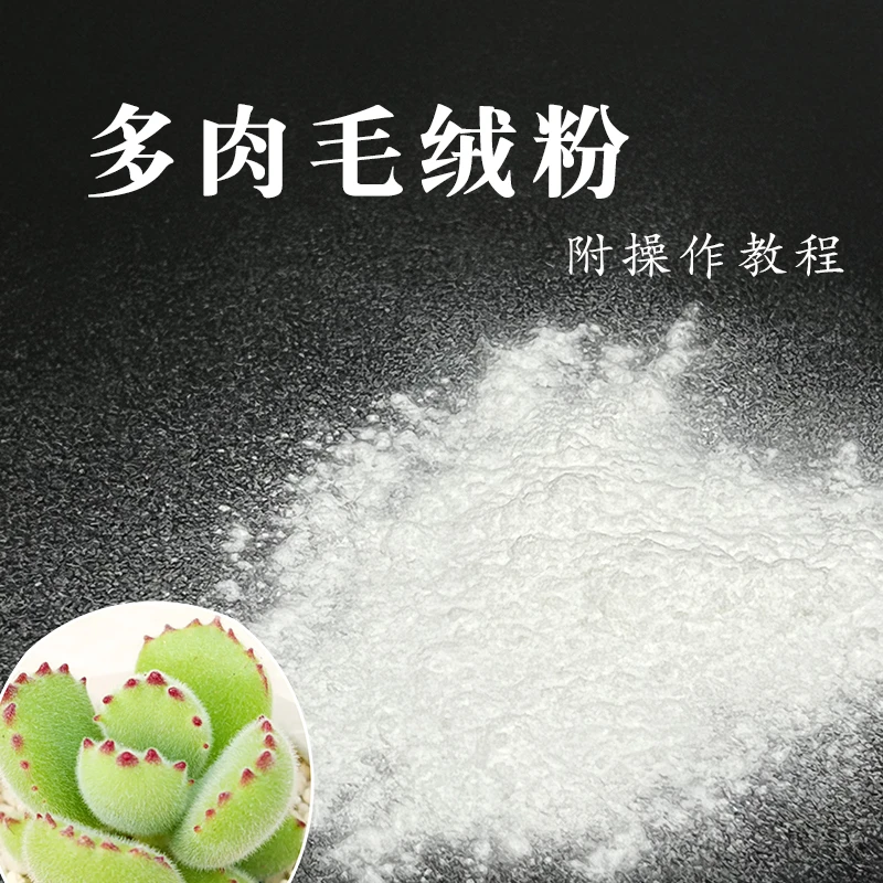 彩虹棠10克 粘土树脂粘土人软陶花艺多肉植物白色毛粉熊童子
