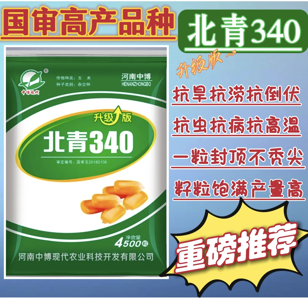 国审玉米种——北青340。抗性一流，产量一流，每袋4500粒