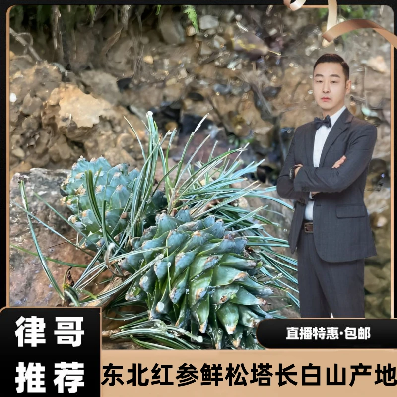 【律哥推荐】长白山原产地 纯野生松塔  松子500g