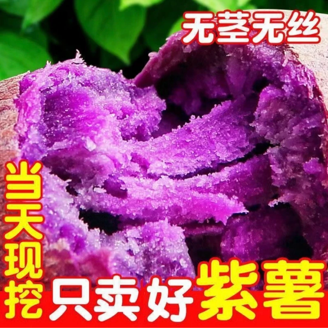 【新鲜现挖】正宗紫罗兰紫薯沙地红薯番薯粉糯香甜面小香薯应季蔬菜
