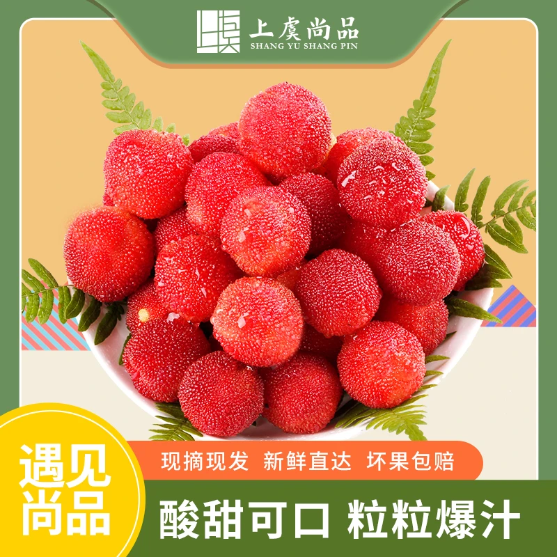 上虞尚品二都深红种杨梅净重4斤装