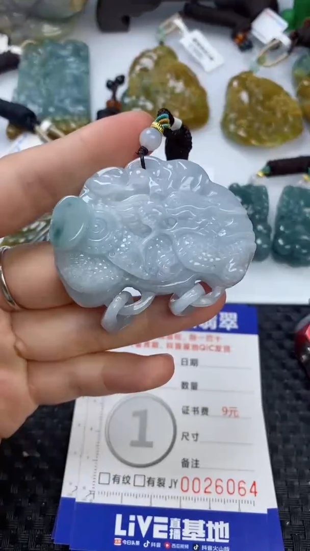 【闪购商品】翡翠颈饰未镶嵌