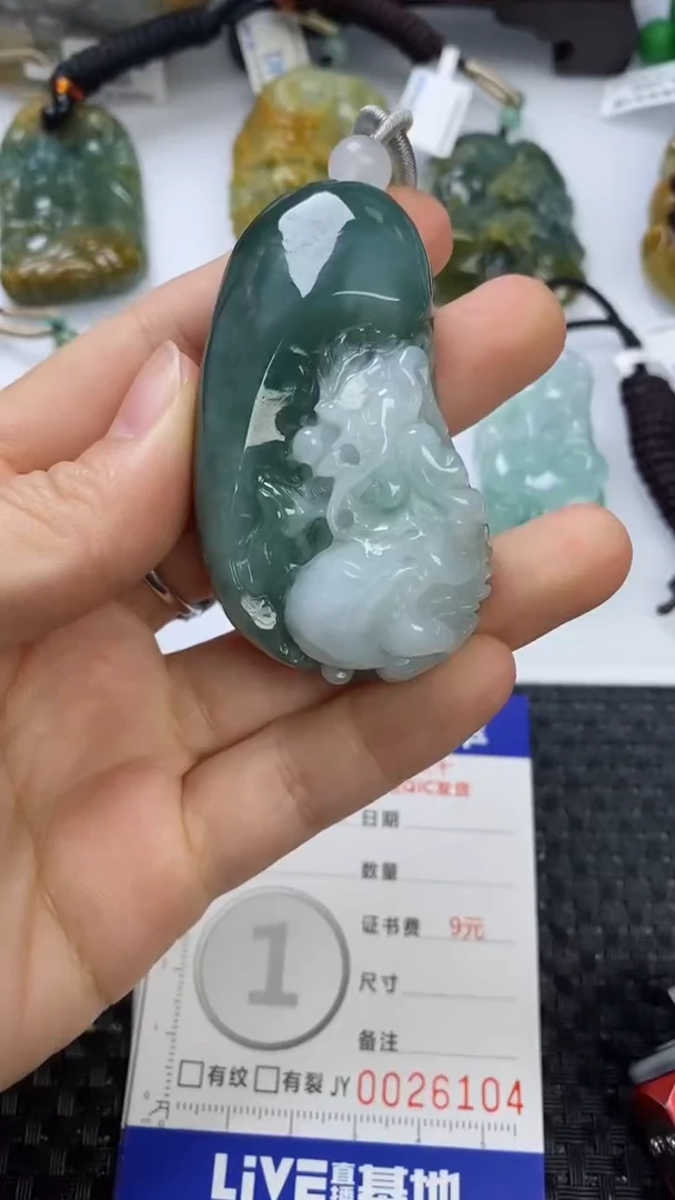 【闪购商品】翡翠颈饰未镶嵌
