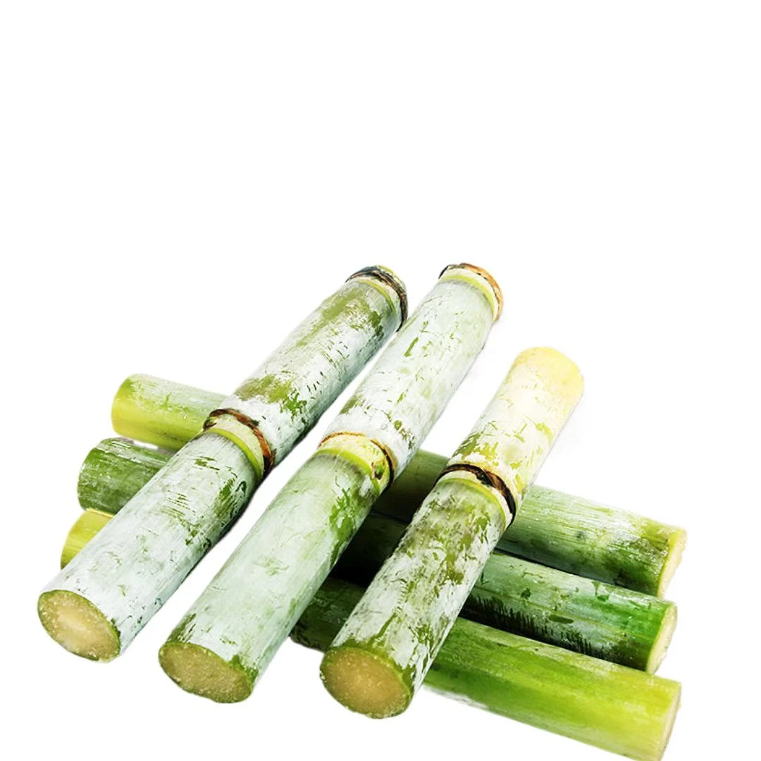 湖南洞庭湖青皮甘蔗鲜甘蔗水果甘蔗脆甜多汁非广西甘蔗陶山甘蔗